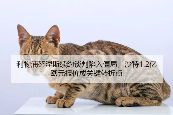 利物浦努涅斯续约谈判陷入僵局，沙特1.2亿欧元报价成关键转折点