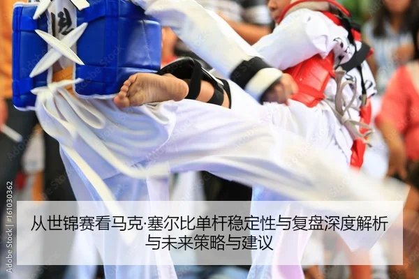 cong-shi-jin-sai-kan-ma-ke-sai-er-bi-dan-gan-wen-ding-xing-yu-fu-pan-shen-du-jie-xi-yu-wei-lai-ce-lve-yu-jian-yi-2-206.jpg